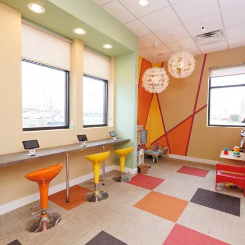 Dentistry in Plainfield, Illinois