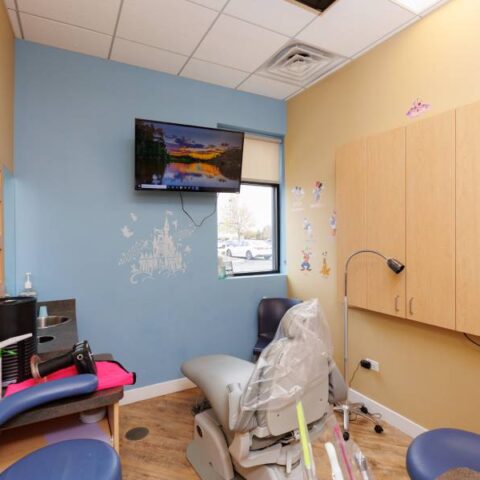 Patient treatment area